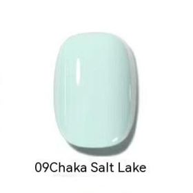 Micro Glue Non-peeling Nail Polish Baking-free Quick-drying Nail Color Blue Gray 14ml (Option: 09)