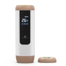 Hot Lati RF Radio Frequency Beauty Instrument Home Face Beauty Import Instrument (Color: White)