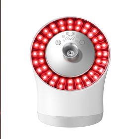 LED Color Light Thermal Spray Facial Care And Hydration Device (Option: Silver-220V US)